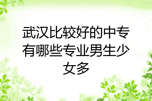武汉比较好的中专有哪些专业男生少女多