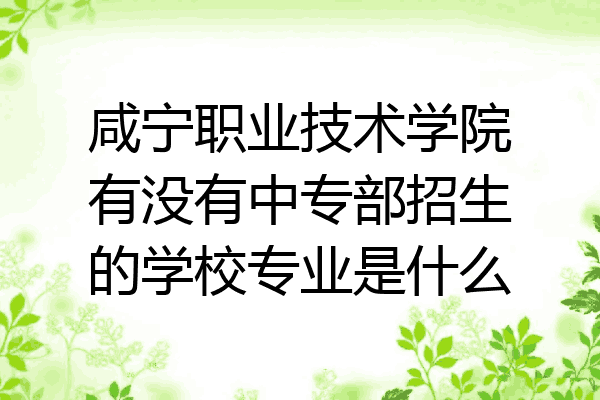 咸宁职业技术学院有没有中专部招生的学校专业是什么