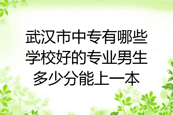 武汉市中专有哪些学校好的专业男生多少分能上一本