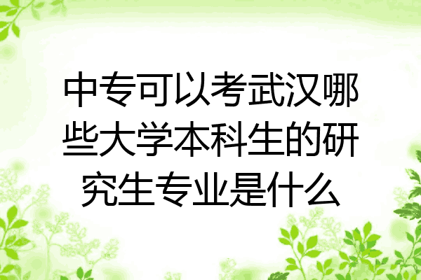中专可以考武汉哪些大学本科生的研究生专业是什么