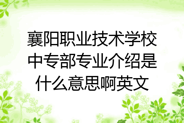 襄阳职业技术学校中专部专业介绍是什么意思啊英文