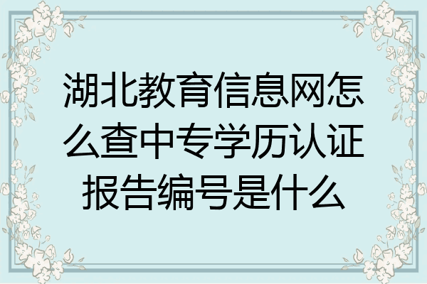 湖北教育信息网怎么查中专学历认证报告编号是什么