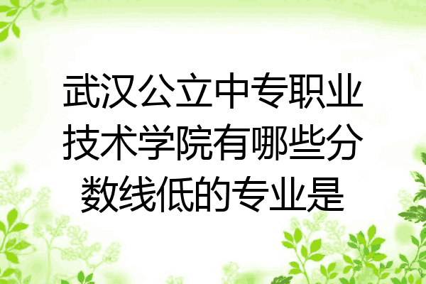 武汉公立中专职业技术学院有哪些分数线低的专业是