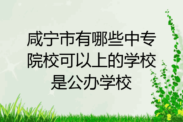 咸宁市有哪些中专院校可以上的学校是公办学校