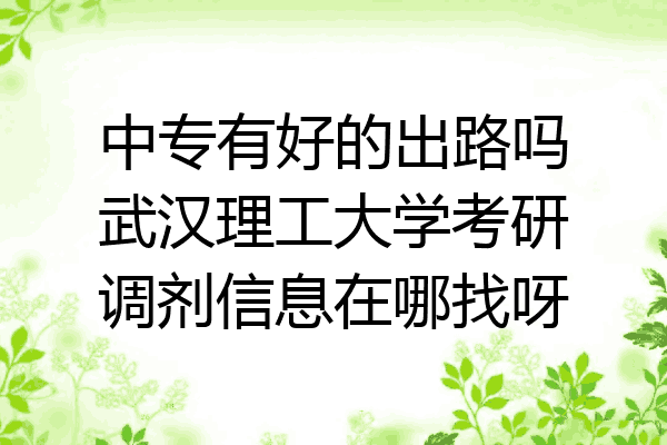 中专有好的出路吗武汉理工大学考研调剂信息在哪找呀