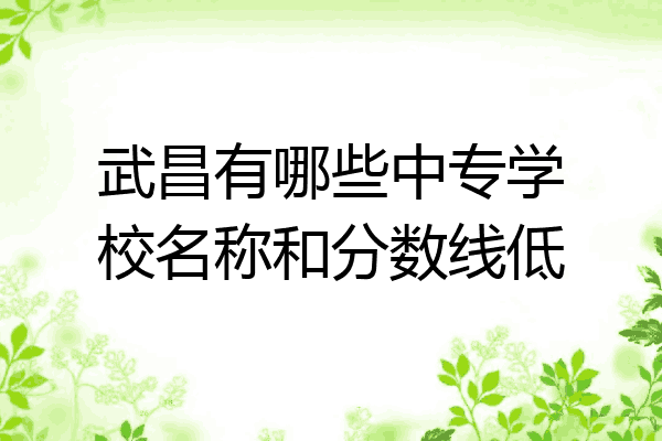 武昌有哪些中专学校名称和分数线低