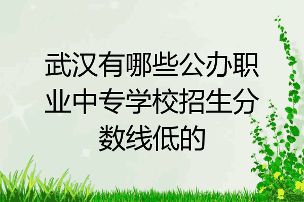 武汉有哪些公办职业中专学校招生分数线低的