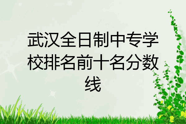 武汉全日制中专学校排名前十名分数线