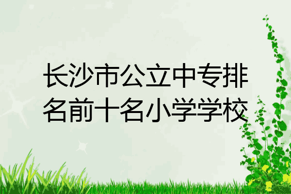 长沙市公立中专排名前十名小学学校