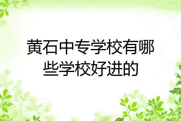 黄石中专学校有哪些学校好进的