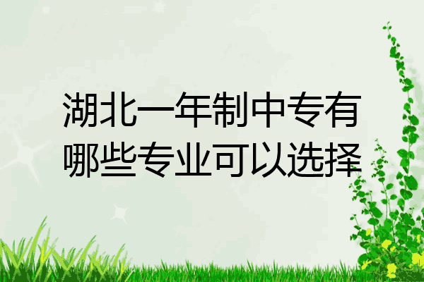 湖北一年制中专有哪些专业可以选择
