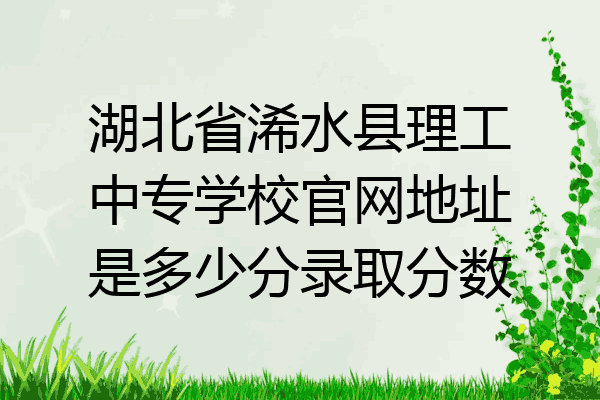 湖北省浠水县理工中专学校官网地址是多少分录取分数