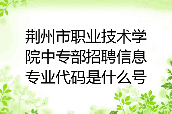 荆州市职业技术学院中专部招聘信息专业代码是什么号