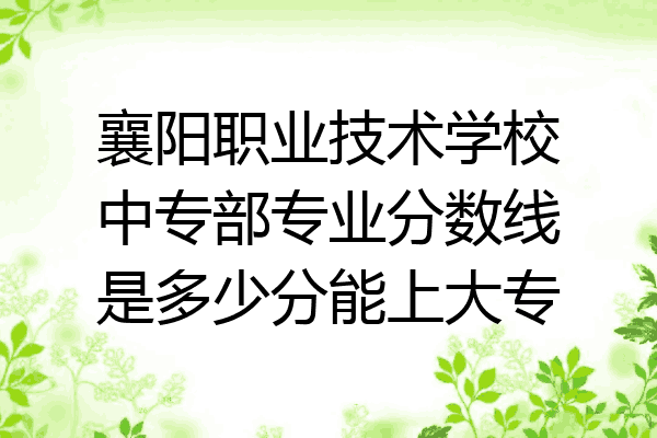 襄阳职业技术学校中专部专业分数线是多少分能上大专