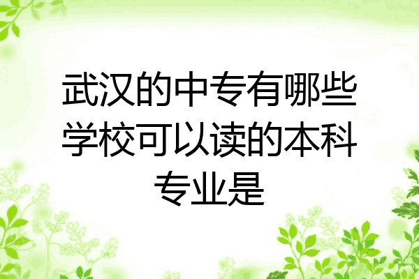 武汉的中专有哪些学校可以读的本科专业是