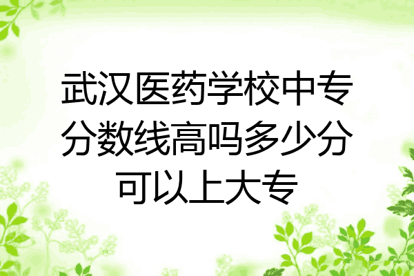 武汉医药学校中专分数线高吗多少分可以上大专