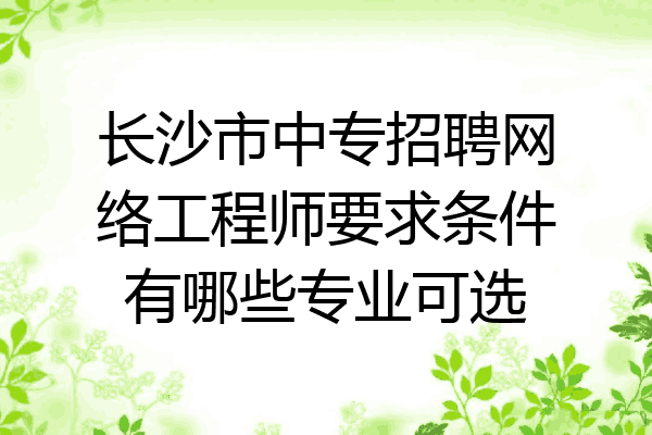 长沙市中专招聘网络工程师要求条件有哪些专业可选