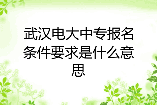 武汉电大中专报名条件要求是什么意思