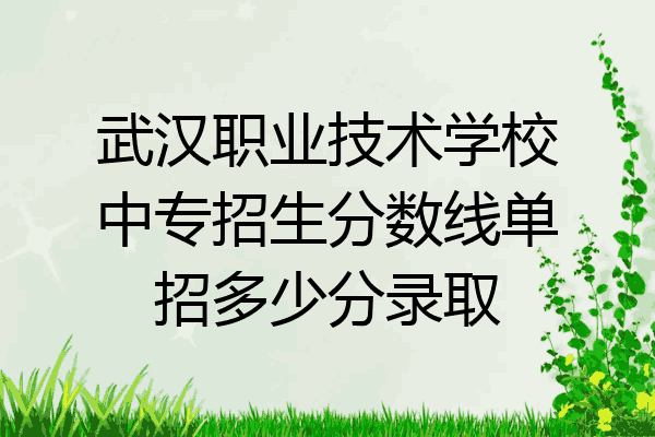 武汉职业技术学校中专招生分数线单招多少分录取