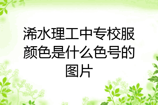 浠水理工中专校服颜色是什么色号的图片