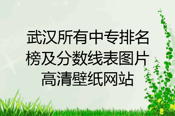 武汉所有中专排名榜及分数线表图片高清壁纸网站