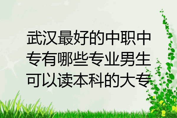 武汉最好的中职中专有哪些专业男生可以读本科的大专