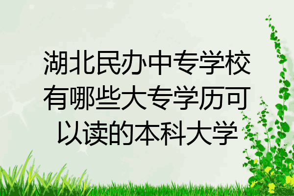 湖北民办中专学校有哪些大专学历可以读的本科大学