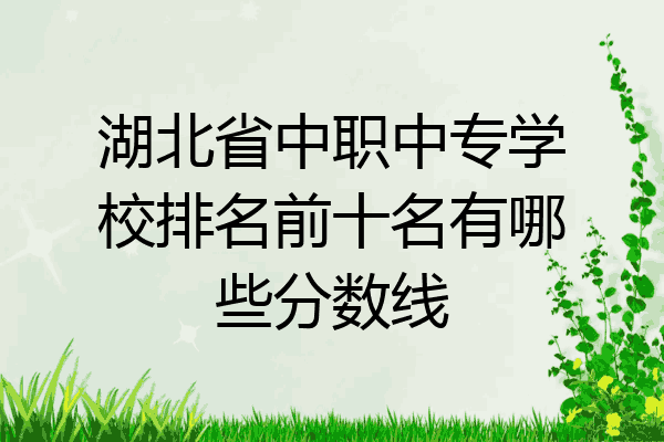 湖北省中职中专学校排名前十名有哪些分数线