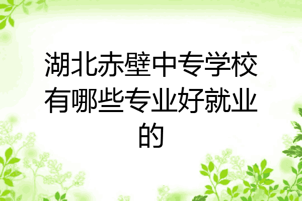 湖北赤壁中专学校有哪些专业好就业的