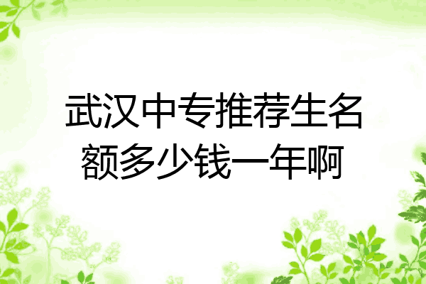 武汉中专推荐生名额多少钱一年啊