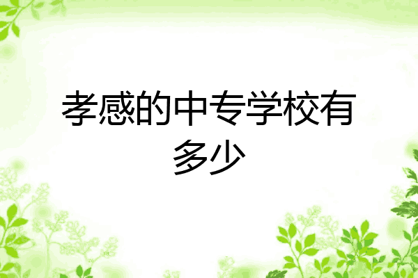 孝感的中专学校有多少