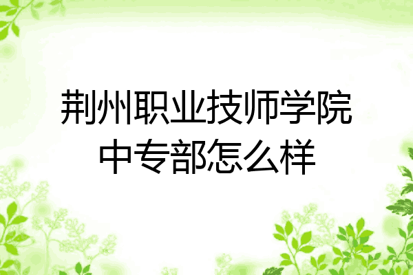 荆州职业技师学院中专部怎么样