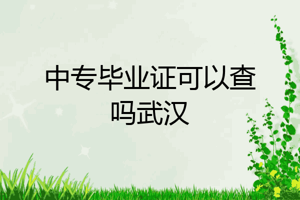 中专毕业证可以查吗武汉