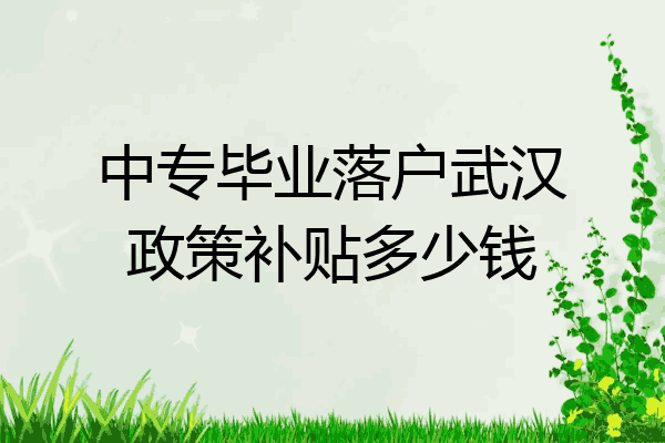 中专毕业落户武汉政策补贴多少钱