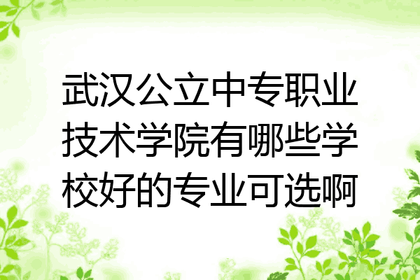 武汉公立中专职业技术学院有哪些学校好的专业可选啊