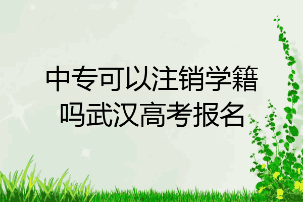 中专可以注销学籍吗武汉高考报名
