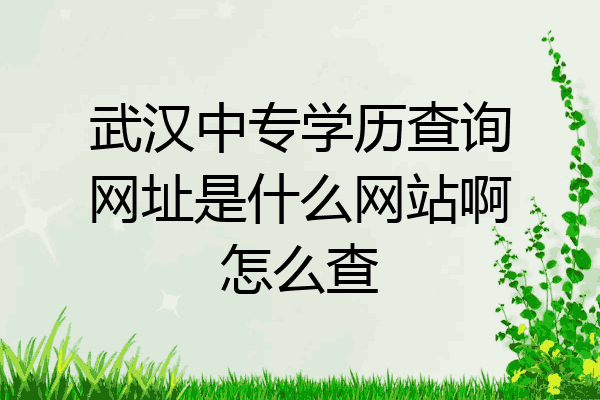 武汉中专学历查询网址是什么网站啊怎么查