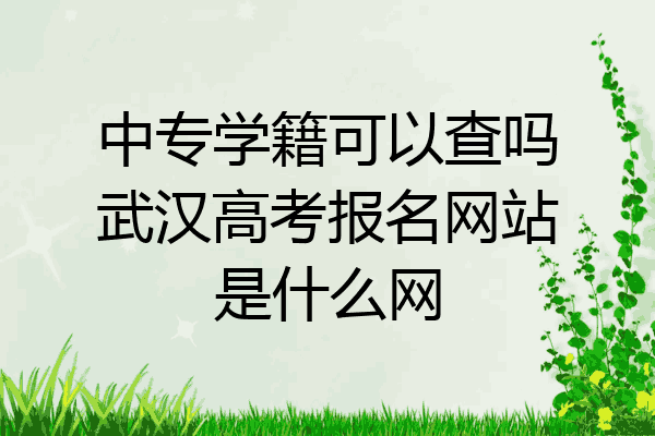 中专学籍可以查吗武汉高考报名网站是什么网