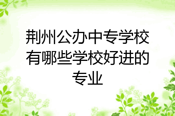 荆州公办中专学校有哪些学校好进的专业