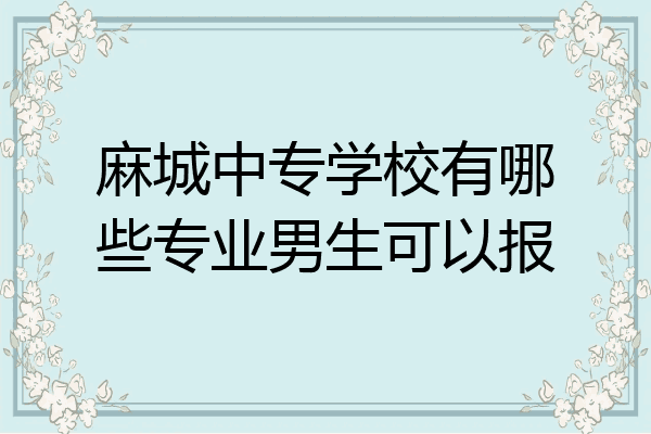麻城中专学校有哪些专业男生可以报