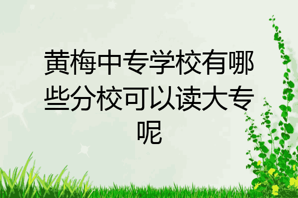 黄梅中专学校有哪些分校可以读大专呢