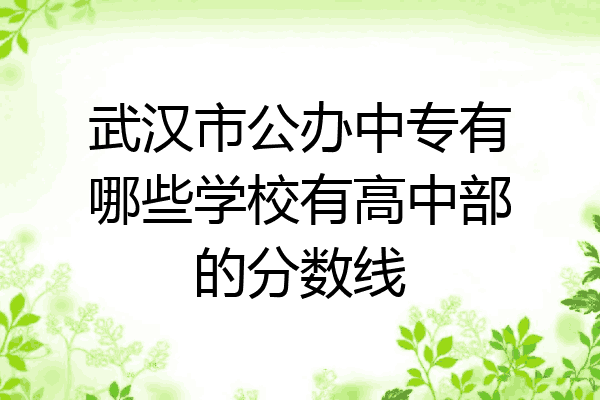 武汉市公办中专有哪些学校有高中部的分数线