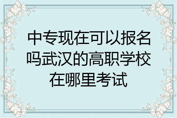 中专现在可以报名吗武汉的高职学校在哪里考试
