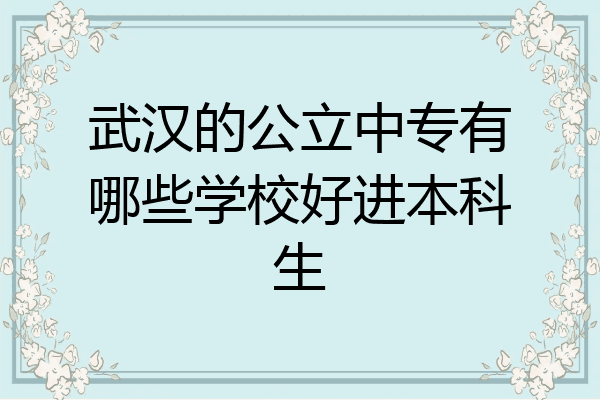 武汉的公立中专有哪些学校好进本科生