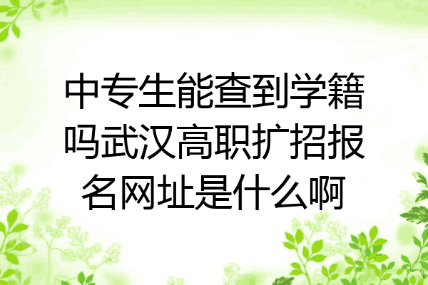 中专生能查到学籍吗武汉高职扩招报名网址是什么啊