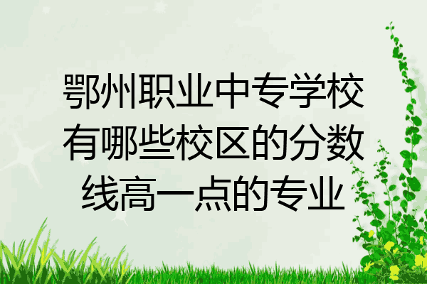 鄂州职业中专学校有哪些校区的分数线高一点的专业