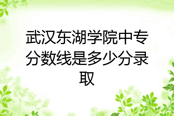 武汉东湖学院中专分数线是多少分录取