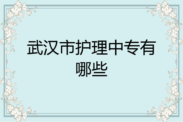 武汉市护理中专有哪些