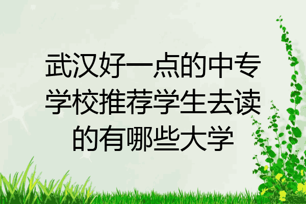 武汉好一点的中专学校推荐学生去读的有哪些大学