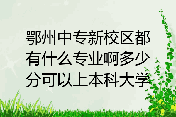 鄂州中专新校区都有什么专业啊多少分可以上本科大学